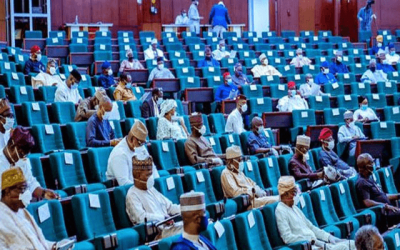 Reps mandate N500bn recapitalisation for DisCos, to boost efficiency