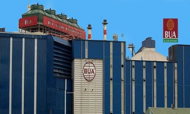 BUA Foods set for 85% profit jump as price cuts drive demand, analysts say