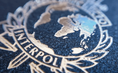 Cybercrime is West, East African most dominant security concern — INTERPOL