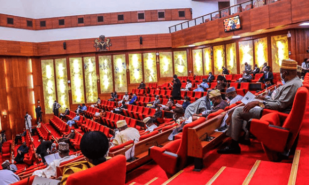 Senate confirms non-indigene as Rivers electoral commission chair amid protests