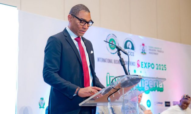 We have invested over $40m in Nigeria’s clean energy since 2016, says Shell-funded All On