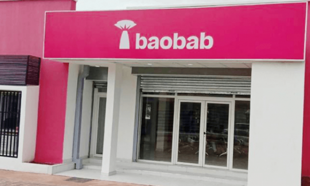 Baobab+ rebrands to Izili to tackle Africa’s energy access crisis