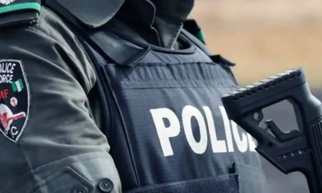 How debate over state police is dividing the north