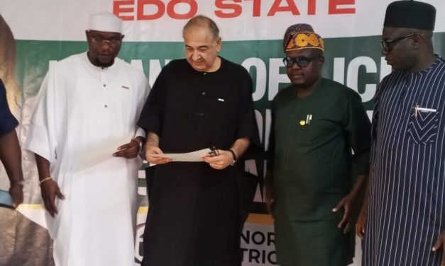Edo takes 10% stake in 200MW power plant to boost supply