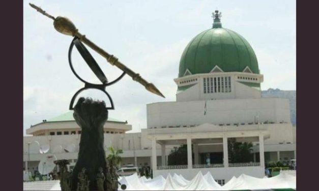 How National Assembly probes cost billions, lead to nowhere