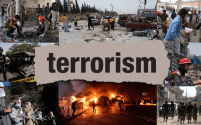 How Borgu forest belt, emerging terrorism epicentre, threatens Nigeria’s physical, food security