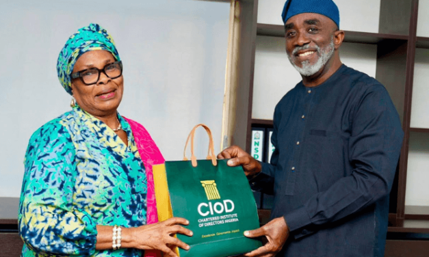 NSDC mobilises $1bn investment pipeline, tightens enforcement