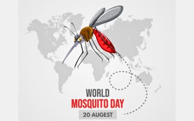 Group marks mosquito day with progress on innovative malaria research, prevention