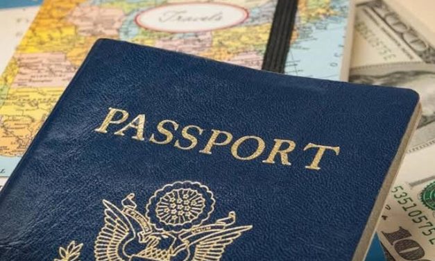 Second citizenship should not be driven by visa-free travel to Europe, says expert