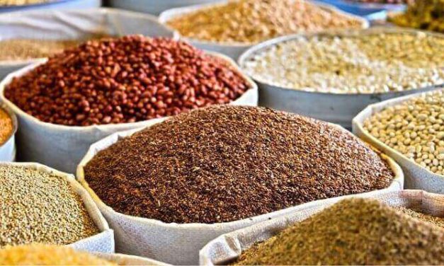 Why Kano is becoming a raw-material hub, Lagos takes agro-processing value