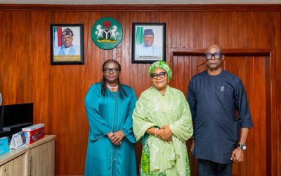 FG orders joint assessment of Calabar ecological crisis