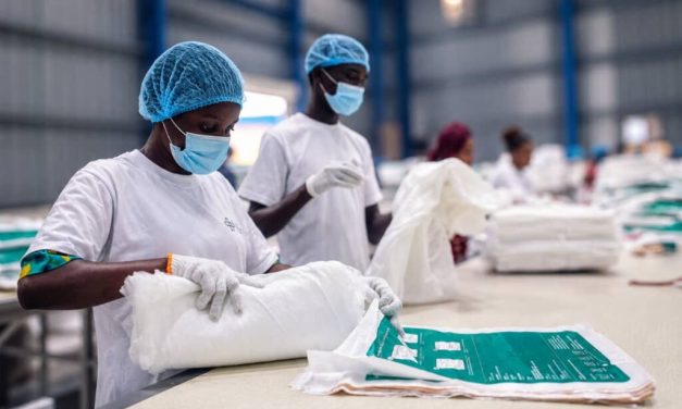 Harvestfield Healthcare begins production of next-generation insecticide-treated nets