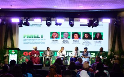 Go Local Summit 2.0: Building market systems Nigeria needs to industrialise