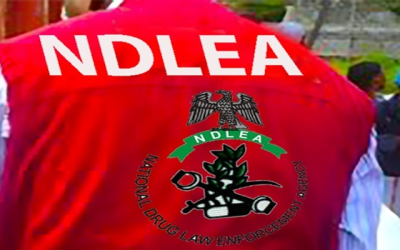 NDLEA arrest 140 suspects, seizes 816.506kg of Illicit drugs in Kaduna