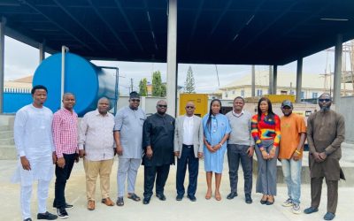 Dolphin taps solar to cut diesel at Lagos cable gateway