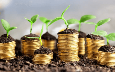 Nigeria targets smallholder farmers in push for $30bn climate finance opportunity