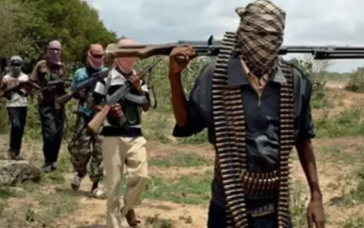Dozens of soldiers, militants and miners killed in fresh attacks in Borno
