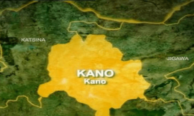 Kano intensifies crackdown on street gangs, drug networks, Arrests 47