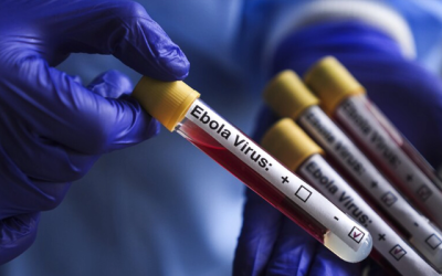 Ebola confirmed in Abuja, 44 under surveillance